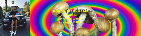 хмурый Вяземский